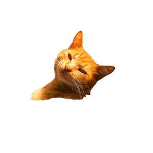 Cat PNG image: Orange Tabby Cat Sitting On Gray Concrete Floor - transparent background