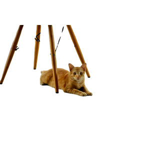 Cat PNG image: Orange Tabby Cat Under Brown Chair - transparent background