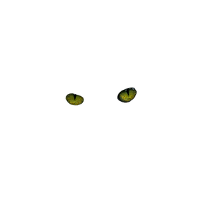 Photo Of Animal Eyes – cat PNG with transparent background