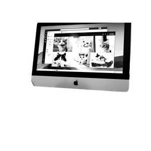 Silver Imac With Keyboard And Mouse – cat PNG with transparent background