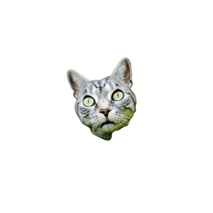 Cat PNG image: Silver Tabby Cat On Green Leafed Plant - transparent background