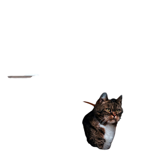 Cat PNG image: Silver Tabby Cat Seeing On Window - transparent background