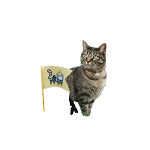 Tabby Cat On Grass Field Beside Flag – cat PNG with transparent background