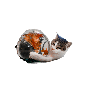 Tabby Cat Playing With Fish On Fishbowl – cat PNG with transparent background