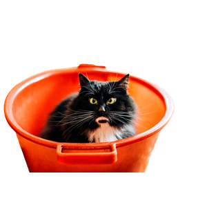 Tuxedo Cat Inside Bucket – cat PNG with transparent background