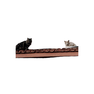 Two Black And Beige Cats On Roof – cat PNG with transparent background