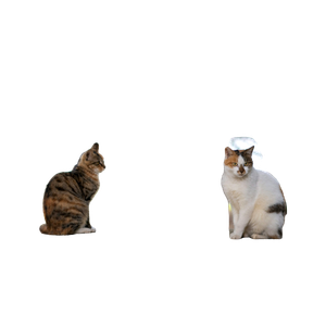 Two Cats Sitting On A Bench – cat PNG with transparent background
