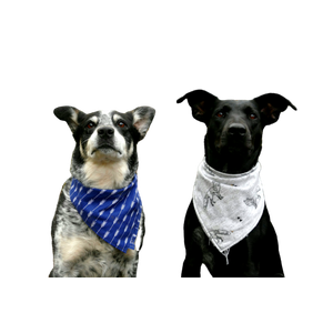Two Dogs In Blue And White Neck Scarves – cat PNG with transparent background