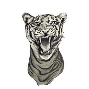 White And Black Tiger Painting - Cat PNG image with transparent background