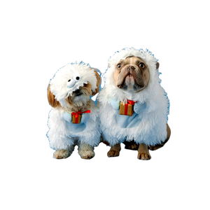 White And Brown Long Coated Small Dog – cat PNG with transparent background