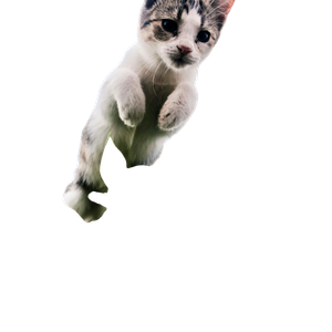 White Cat On Green Plant – cat PNG with transparent background