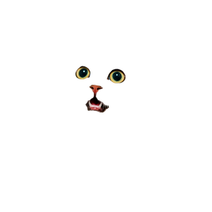 White Kitten – cat PNG with transparent background
