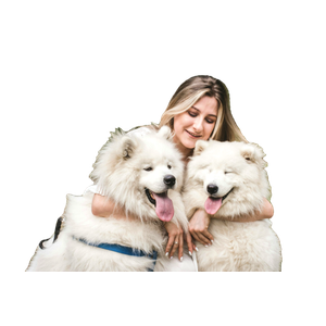 Woman Hugging White Samoyed Dogs – cat PNG with transparent background